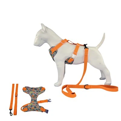 ڈایناسور ڈاگ ہارنس