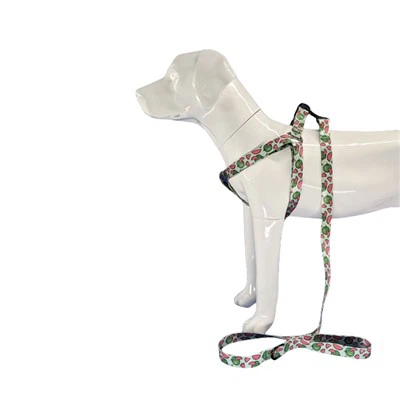 ہالٹر ڈاگ ہارنس