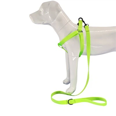 لیمن گرین ڈاگ ہارنس