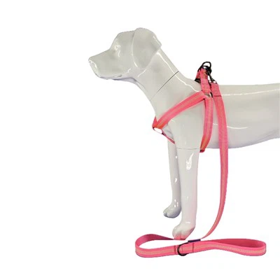 عکاس ہاٹ پنک ڈاگ ہارنس