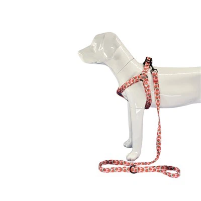 اسٹرابیری ڈاگ ہارنس